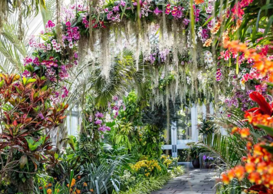 New York Botanical Garden Orchid Show
